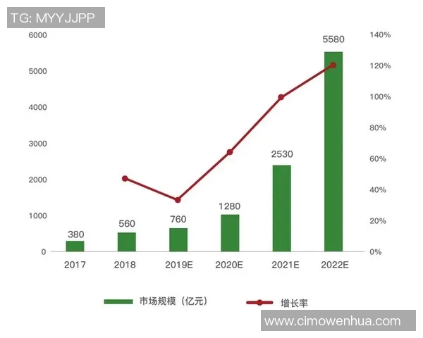 武汉乒乓球队转型之路的挑战与机遇全景观察