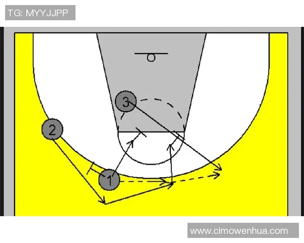 深入分析成都篮球队包夹战术的运用与效果探讨