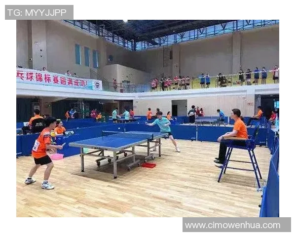 深圳乒乓球队荣登全国技术排行榜第三名引发热议