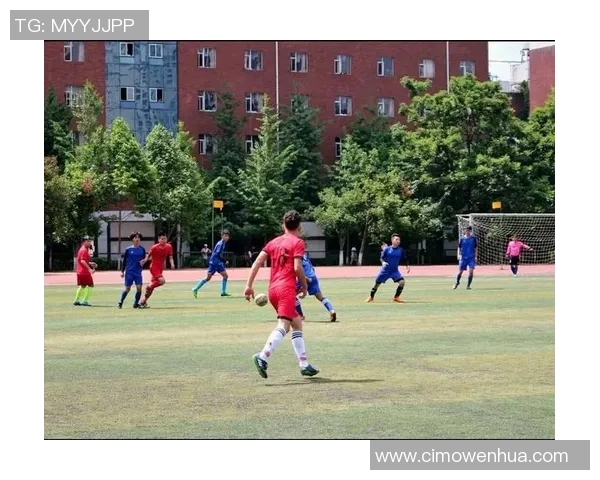 深圳篮球队边路渗透战术分析及其在比赛中的成效与不足之处