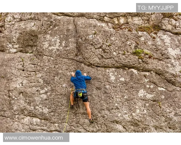 深圳攀岩队的逆袭之路:探索攀岩深度与团队精神的完美结合